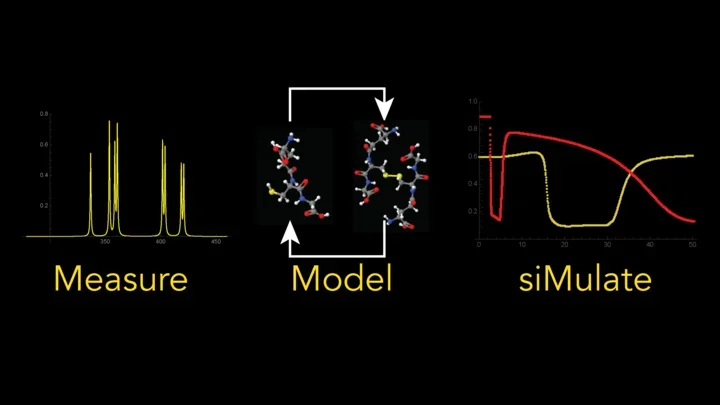 Measure Model Simulate