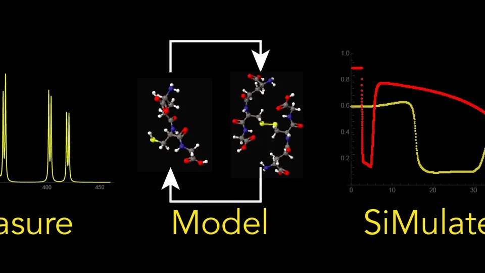 A depiction of the Measure, Model, and siMulate approach.