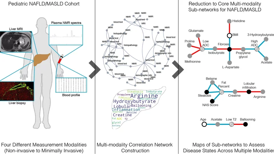 nafld graphical abstract (squished)