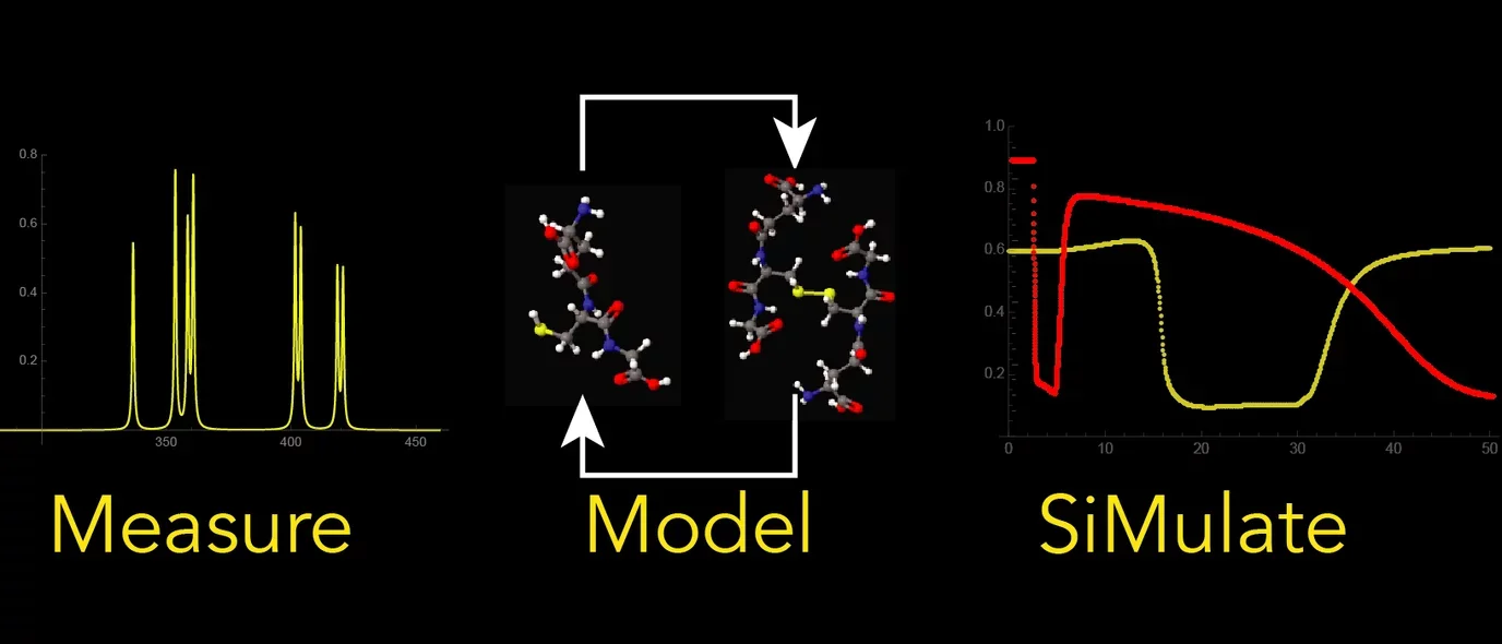A depiction of the Measure, Model, and siMulate approach.